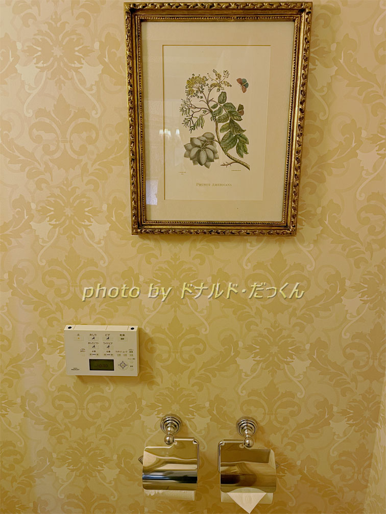 東京ディズニーシー・ホテルミラコスタ：3101号室のトイレ